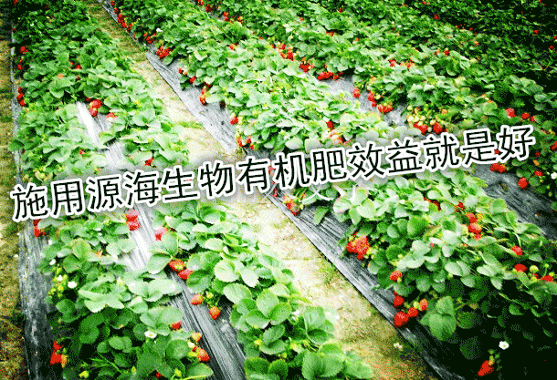 ��˵�л��ʺã�զ������ûЧ��