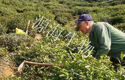 �л���|ʩ�ʹ���diһ��|֮����ʩ��1