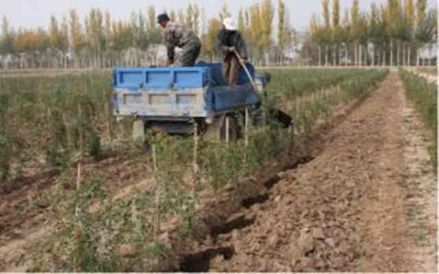 �����л��ʿ���