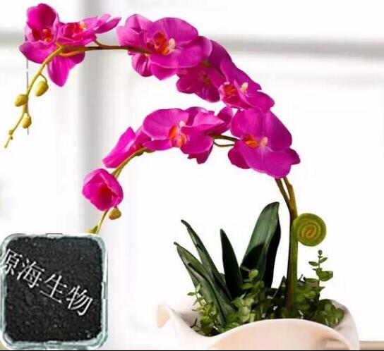 �軨ʩ�л��ʵ����ü�����