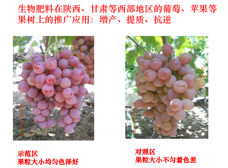 �л����뻯�ʶԱ�
