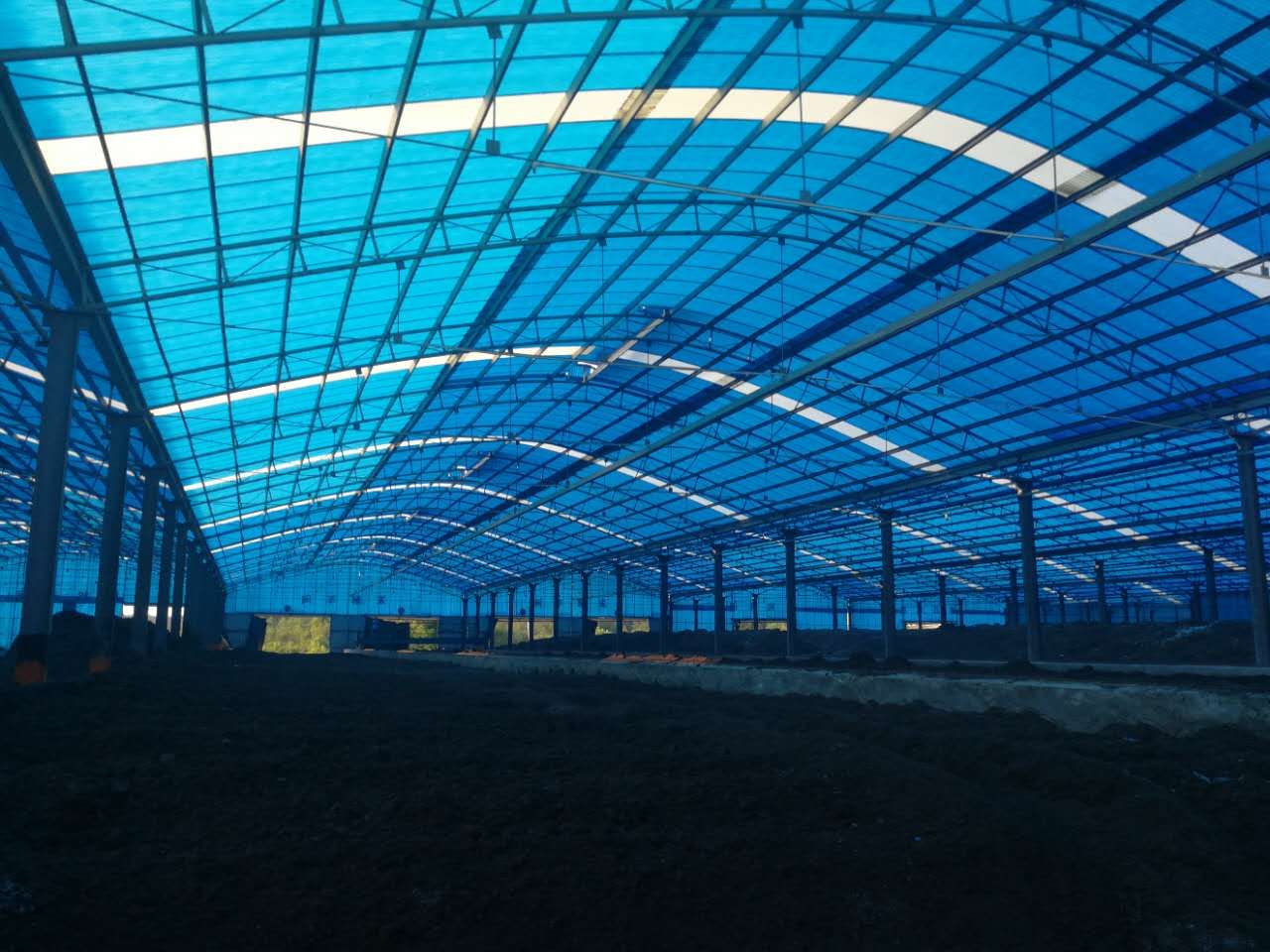 ����������