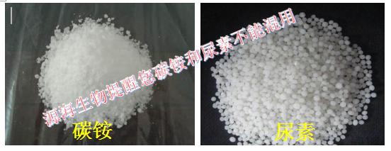 Դ������������̼狀����ز��ܻ���