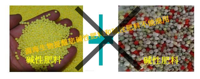 ���Է��ϲ��ܺͼ��Է��ϻ���