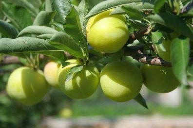 *�����г���չǱ���Ĳ��ʹ�